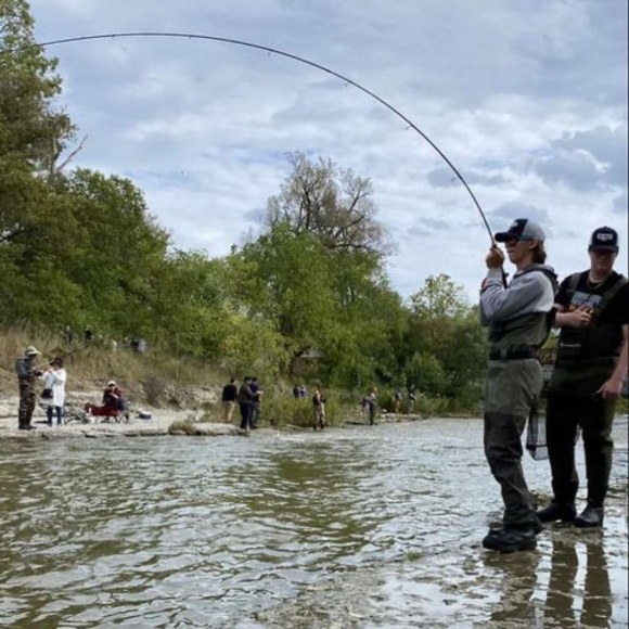 Meet your Posher, Gregery - Picture 1 of 1